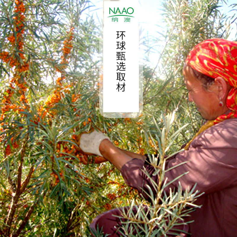 Polish Direct Imported Wild Sea Buckthorn Fruit Oil Seed Oil Supercritical Extraction Base Oil Handmade DIY Cream Skin Care