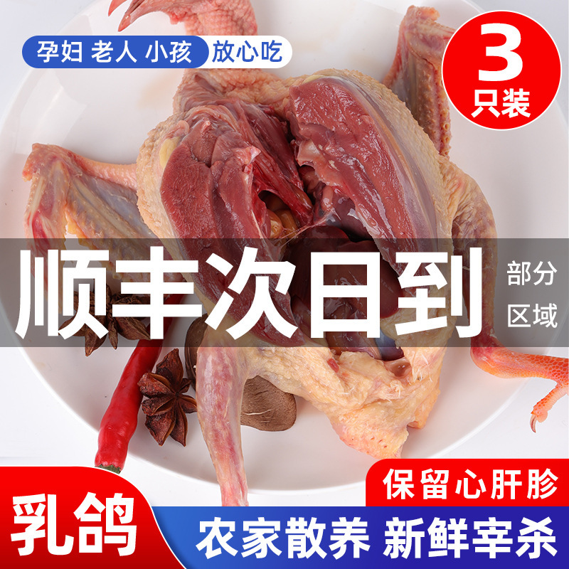 Оптовая продажа мяса голубей, 5 голубей, фермерские голуби, свободный выгул, целая коробка, свежие голуби