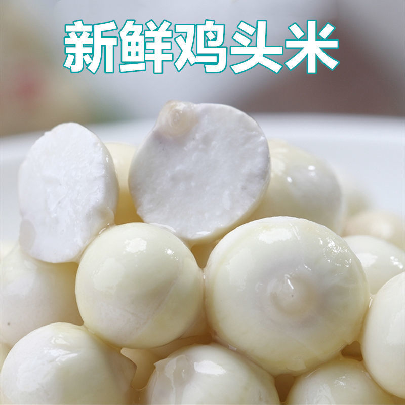 Свежие плоды горгона (Trichosanthes) из Чаошаня, сезонные крупные очищенные и оболоченные плоды, собранные в тот же день