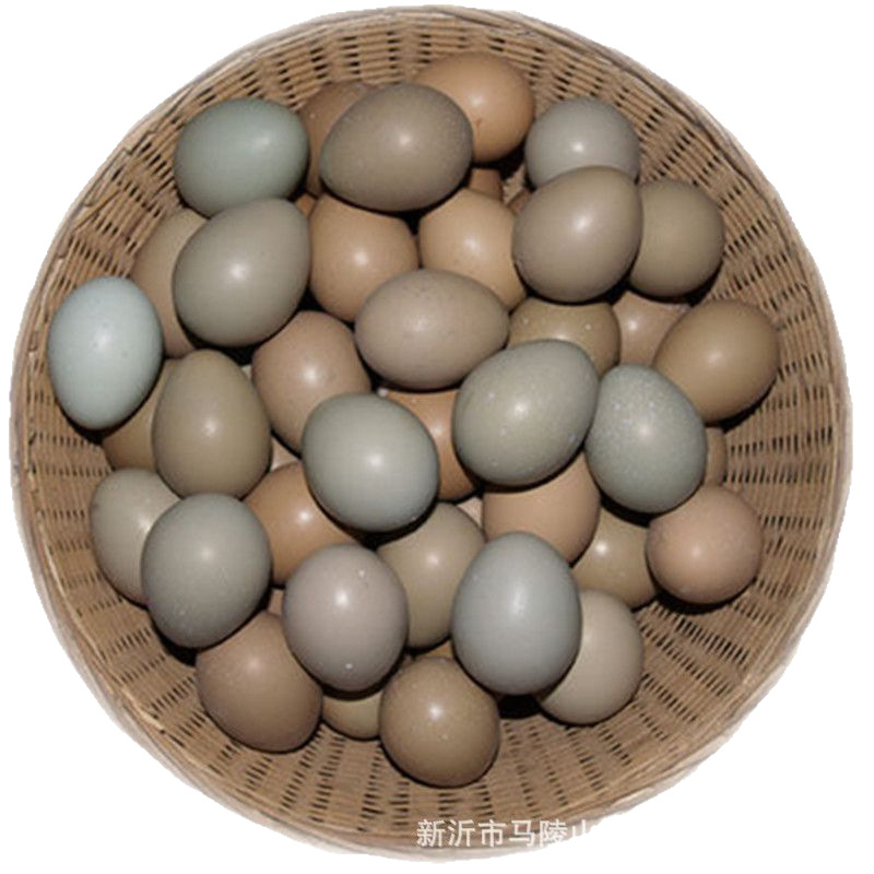 Large Wholesale Fresh Wild Eggs, Colorful Wild Eggs, Colorful Mountain Eggs, Large Quantity, Excellent Price, Fresh Guarantee