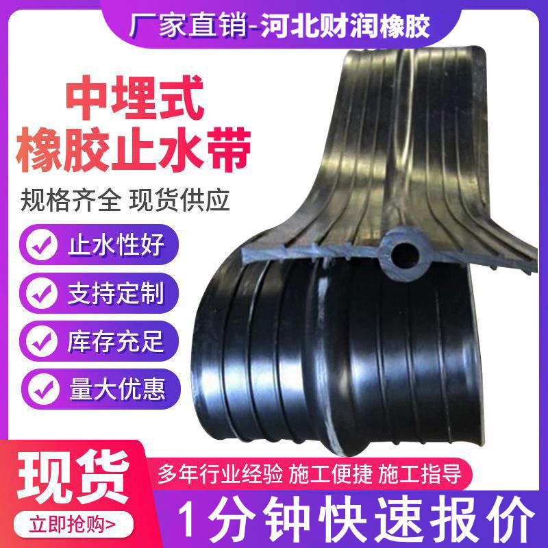 Supply of medium-buried rubber waterstop with external steel edge water conservancy building waterstop industrial rubber shaped parts