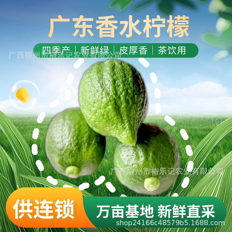 Гуандун, лимонный ручной молочный чай, четыре сезона, безкосточковый, 1-й сорт, 5кг, специальный молочный чай с лаймом