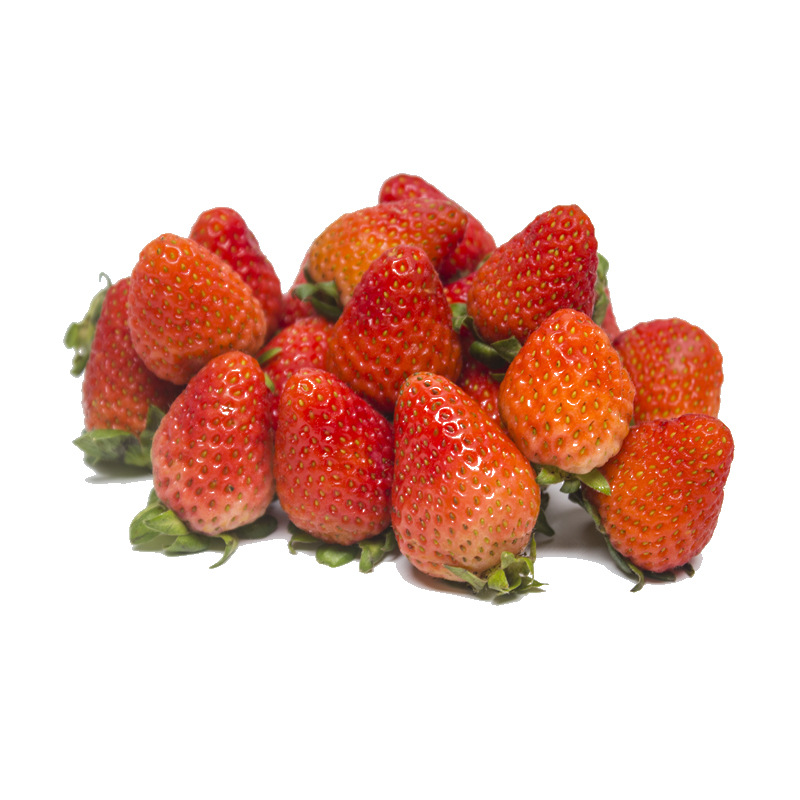 Fresh Double-Strained Winter Strawberries for Commercial Use in Beverage Shops, Cake Shops, and Milk Tea Shops, Specially for Baking, with Sf Express Free Shipping