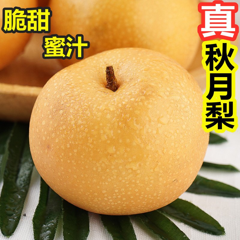 Shandong Qiuyue Pear Fresh Fruit Gift Box Crisp Sweet Suet Rock Sugar Laiyang Pear 2.5kg Feifeng Shui Pineapple Dropshipping
