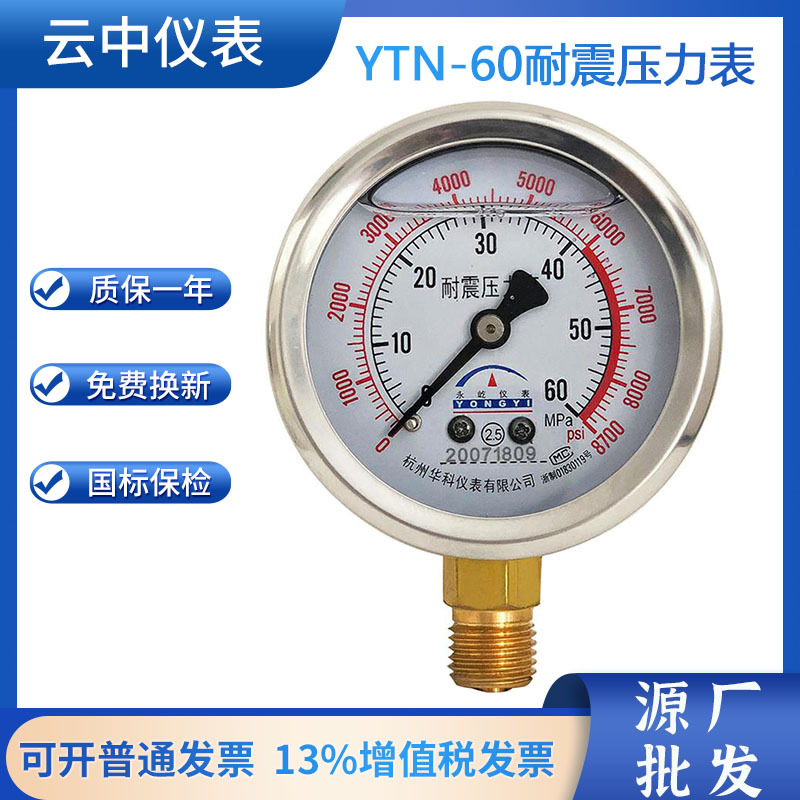 Customized Shock-Resistant Pressure Gauge Precision Pressure Gauge Electric Contact Pressure Gauge Stainless Steel Pressure Gauge Y100