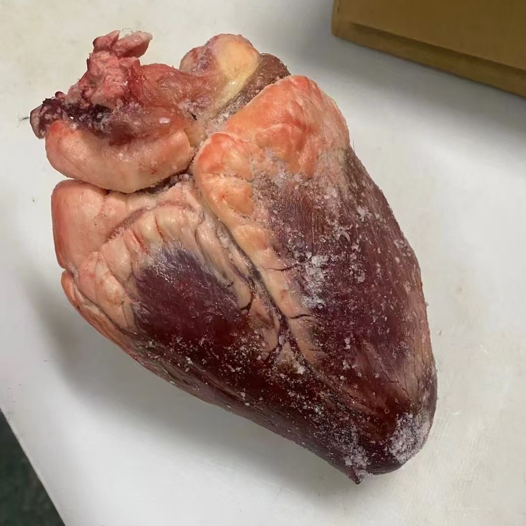 Beef Heart, Oil-Free Beef Heart, Freshly Slaughtered Beef Heart, Frozen Commercial Halal Beef Heart Burger, Chilled