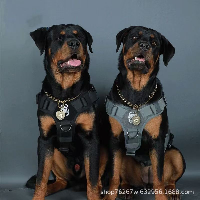 Rottweiler Dog Puppy Living Explosion-Proof Dog at Home Nursing Hospital Dog German Guard Large Dog Guard Dog