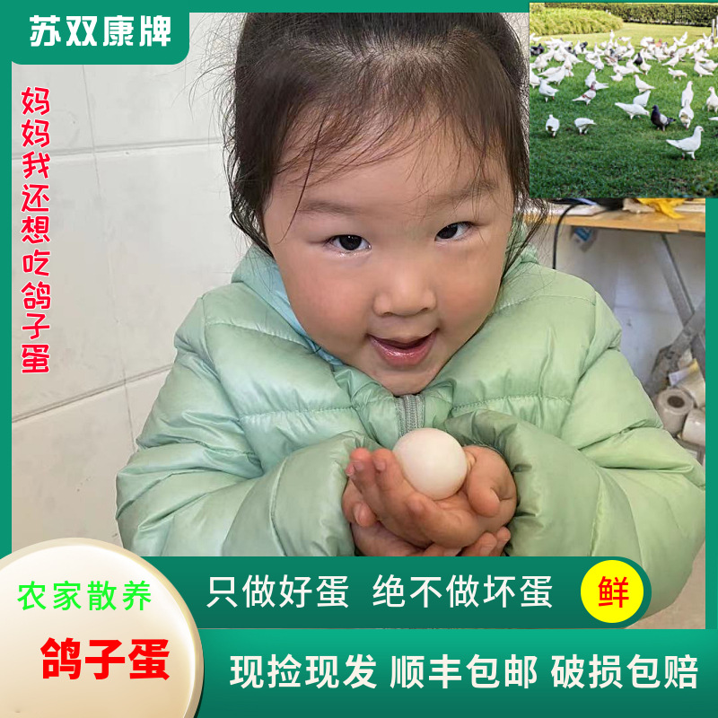 Su Shuangkang ® яйца голубей, дропшиппинг, фермерские яйца белых голубей, оптовая продажа свежих яиц