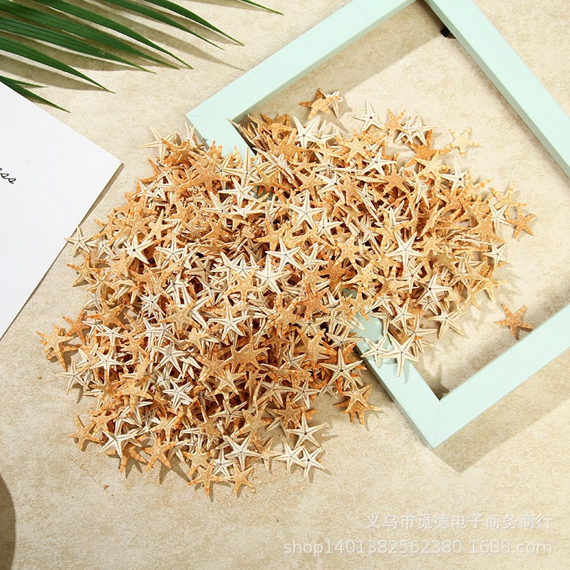 Personalized DIY classic material natural starfish shell drift bottle accessories micro landscape material mini starfish