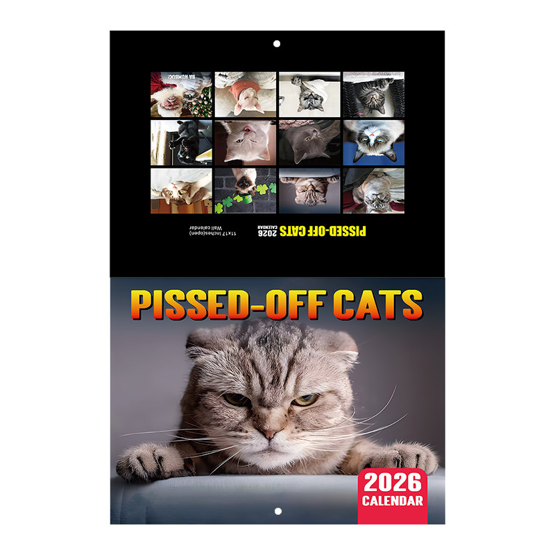 Cross-Border New Product 2026 Pissed-Dff Cats Angry Cat Calendar Wall Horse Riding Nail Calendar Ready for Sale