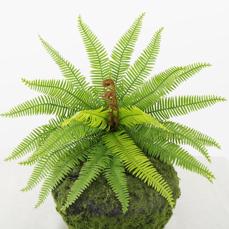 Artificial Fern Green Plant Potted Plant for Living Room Home Wedding Celebration Decoration Ornament Artificial Persian Grass Fern Fern Grass