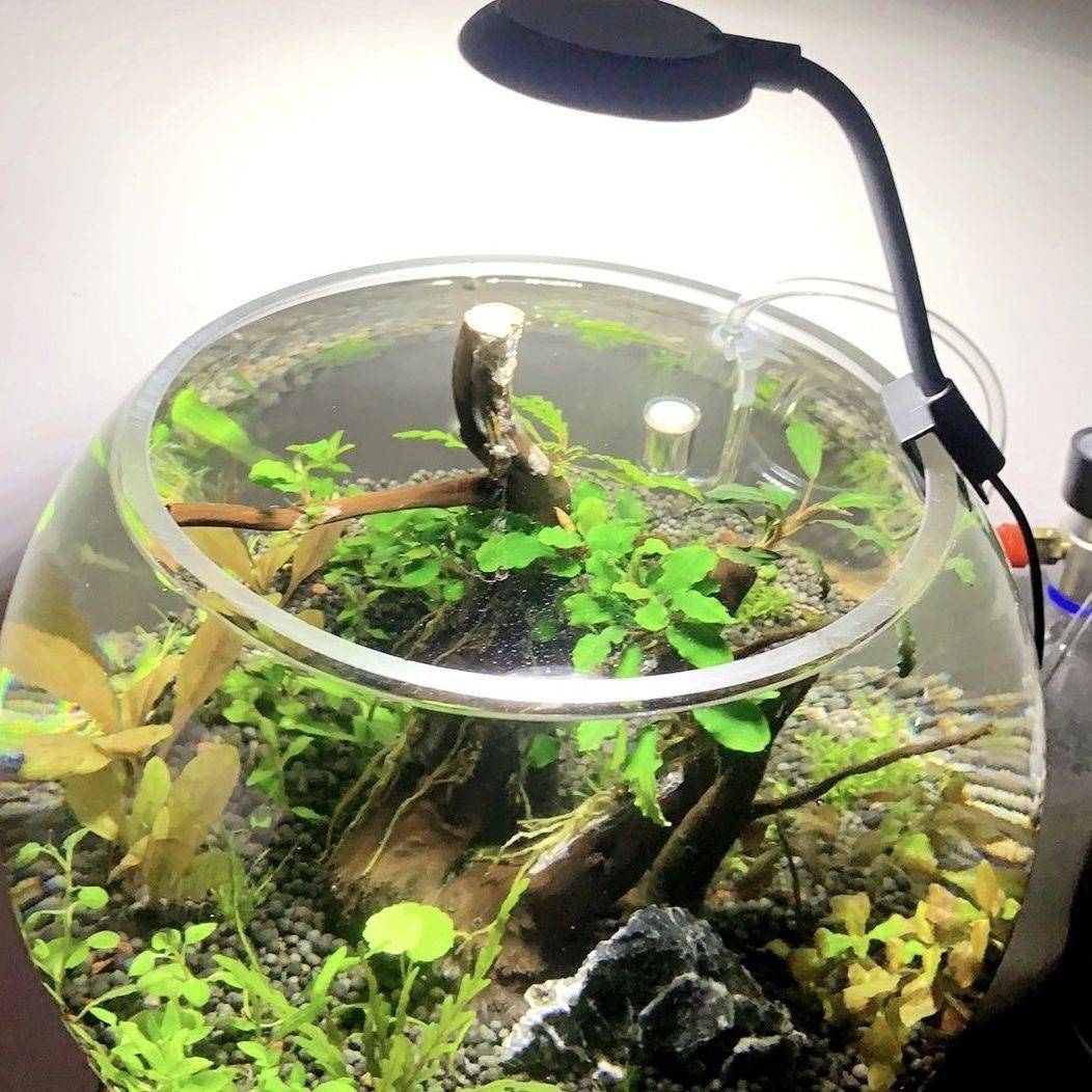 Fish tank lamp led water grass lamp full spectrum algae explosion waterproof lamp small fish tank lighting lamp ornamental mini clip lamp