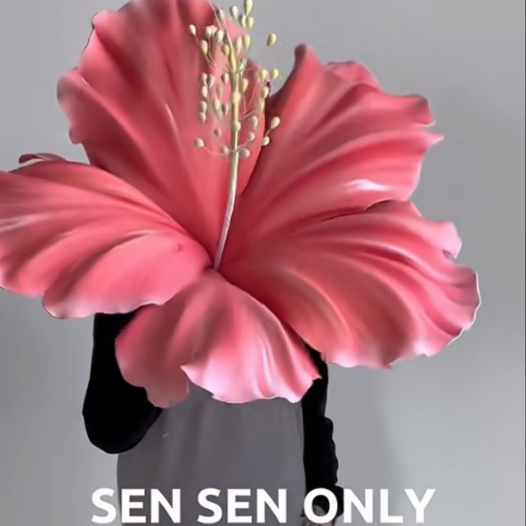 Обработка сборов и возвратов не поддерживается