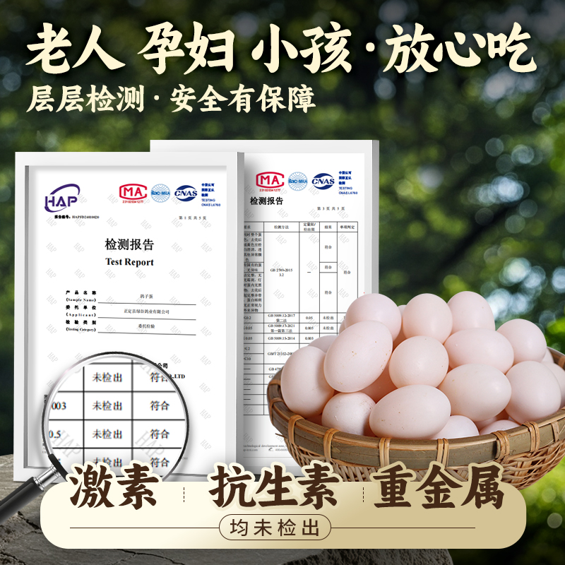 Pigeon Eggs Fresh 30 Farm-Raised Free-Range Pigeon Eggs Official Flagship Store Gift Box Pregnant Women Cereals White Pigeon Eggs