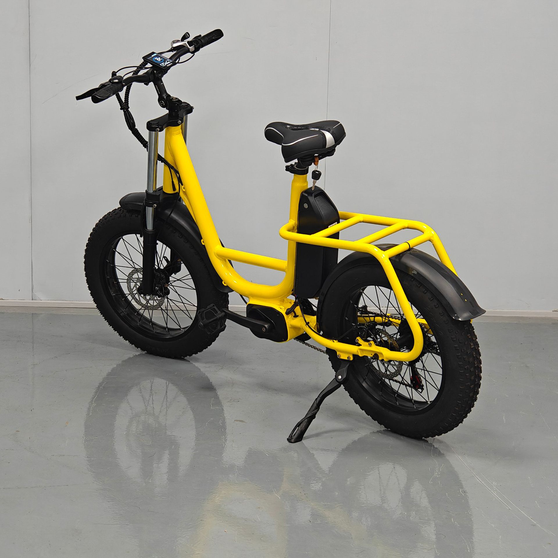 Wholesale 20inch Fat Tire Snow Electric Bike Electric Assist Bicycle Factory Direct Sales
