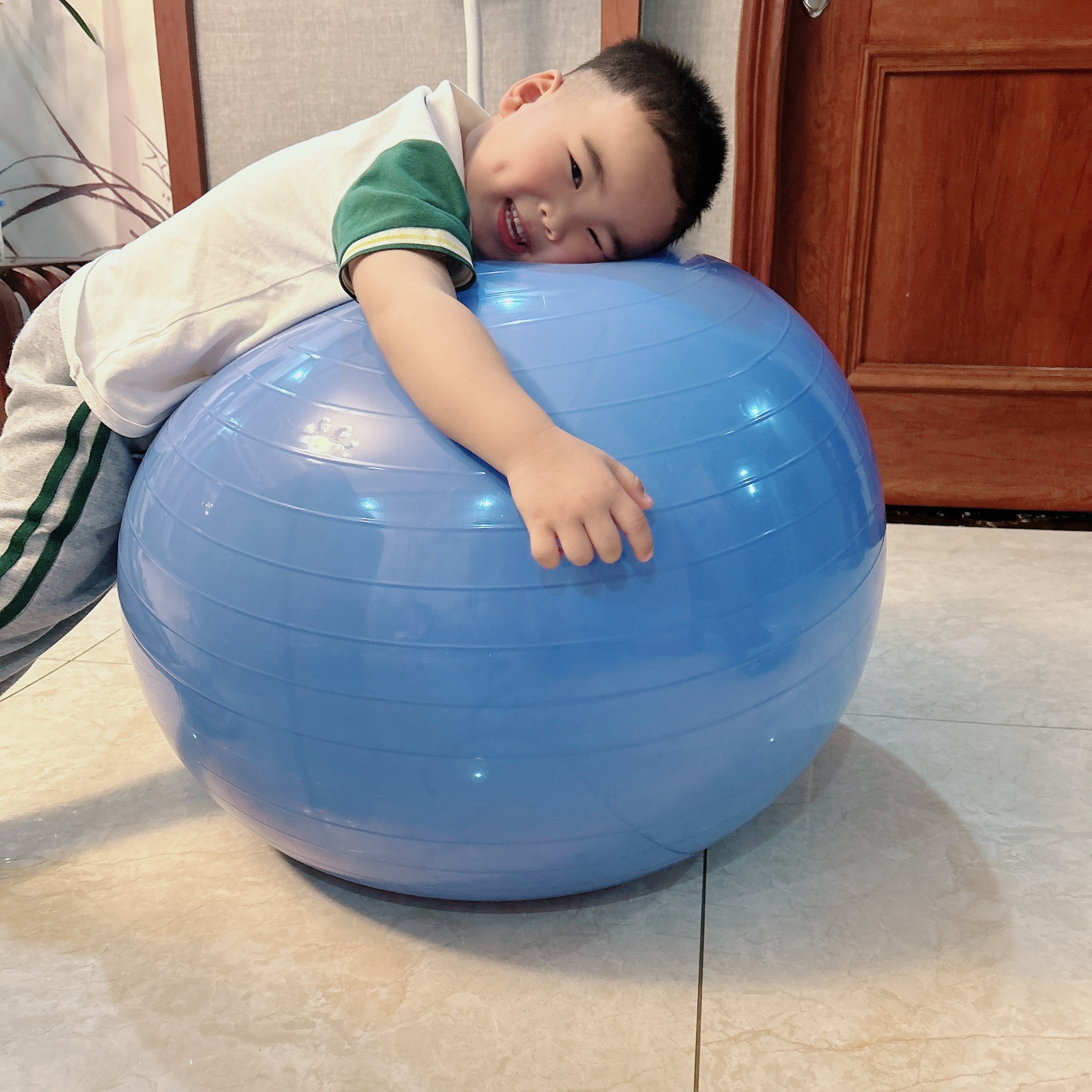 Pvc Thickeneded Explosion-Proof Yoga Ball Sports Fitness Balance Ball Strength Training Gymnastics Ball Dance Massage Ball Wholesale