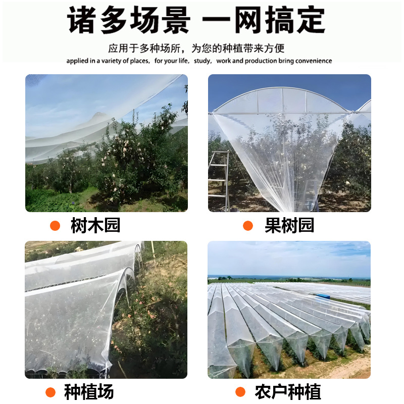 Anti-Hail Net Manufacturer Hdpe Anti-Hail Net for Gardens and Orchards, Cross-Border Netting, Polyethylene Agricultural Anti-Hail Net for Orchard Protection