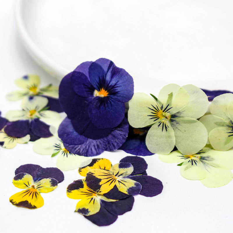 Pansy/Corydalis Dried Flower Baffle/Embossed Material Bag Wholesale Dropping Glue Jewelry Nail Art Face Makeup Phone Shell Decoration