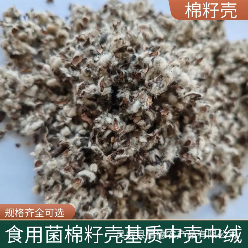Xinjiang in stock cottonseed shell wholesale mushroom edible mushroom mushroom cultivation matrix water retention breathable cotton residue oil field