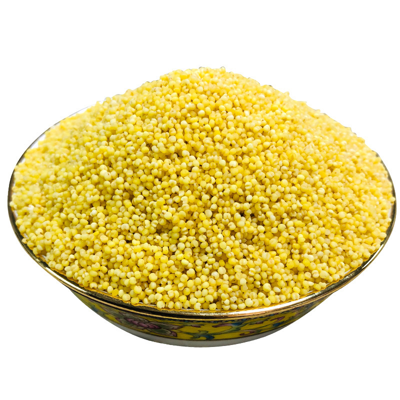 Xinhonghe northeast organic yellow millet 500g new millet factory wholesale month edible yellow rice bulk wholesale