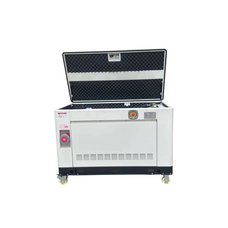 Gasoline Generator Set Gas Natural Gas Biogas Liquefied Petroleum Gas Oil and Gas Dual-Use Explosion-Proof Plug 10/20Kw