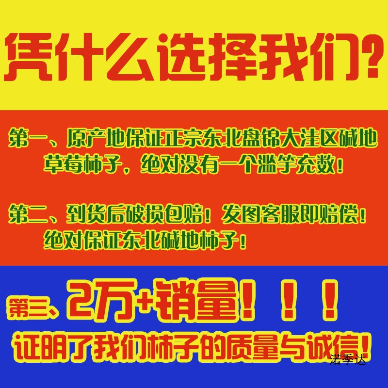 Alkaline Iron Peel Strawberry Persimmon Panjin Alkaline Natural Ripe Tomatoes Yingkou Green Eagle Claw Dandong Seasonal Tomatoes