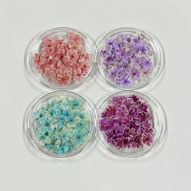 Japanese ins style mini nail art dried flower natural bet flower dried flower factory wholesale wear real flower