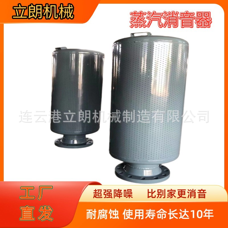 Lilang Lta Steam Autoclave Silencer Steam Boiler Exhaust Silencer Small Hole Type Pressure Reduction and Noise Reduction