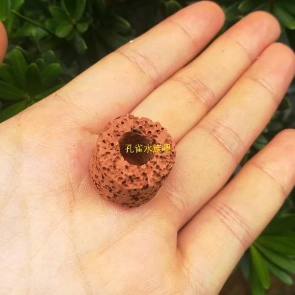 Water Grass Fixed Ring Gravity Ring Biological Breathing Ring Water Grass Fixed Ring Lazy Man Landscape Planting Ring Simple Decorative Use