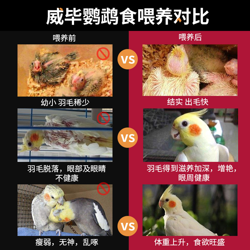 Parrot Bird Food Xuanfeng Tiger Skin Peony Parrot Feed Bird Food Mixed Grain Yellow Millet Shell Millet Wholesale