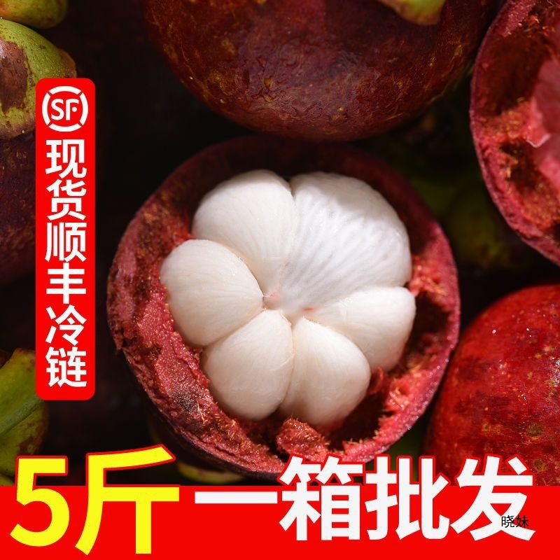 Mangosteen 0.5-2.5kg Large Fruit 3-6A Fresh Fruit Seasonal One Box Aliexpress Independent Station One Piece Dropshipping