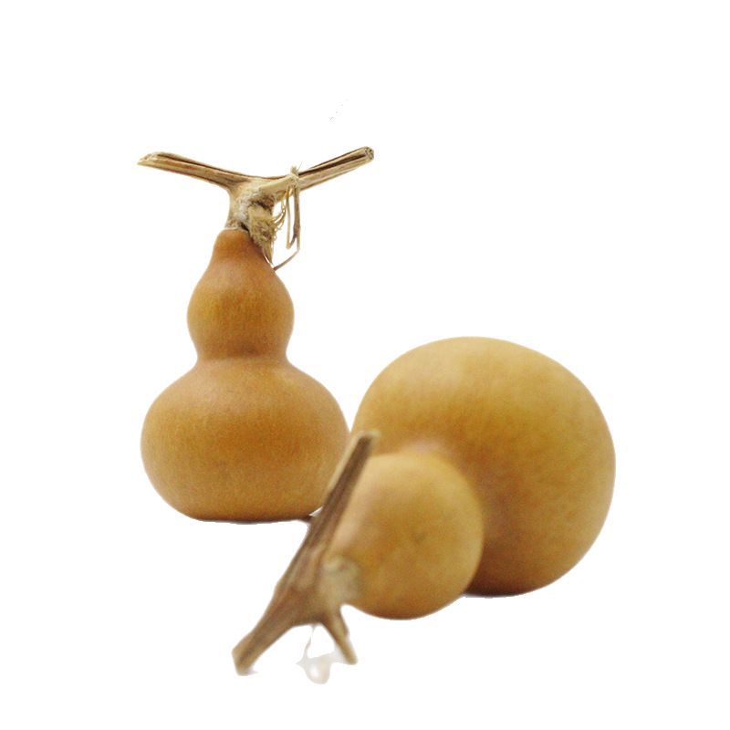 Factory Direct Supply of Natural Gourds for Hand-Twisting, Mini Gourds for Hand-Twisting, Natural Gourds with Taps for Wholesale
