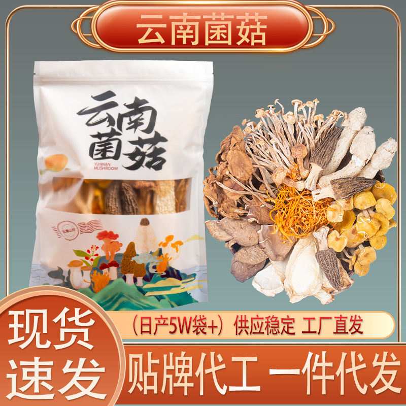 Оптовая продажа 100г пакета цветного супа с грибами 9 видов питательных грибов