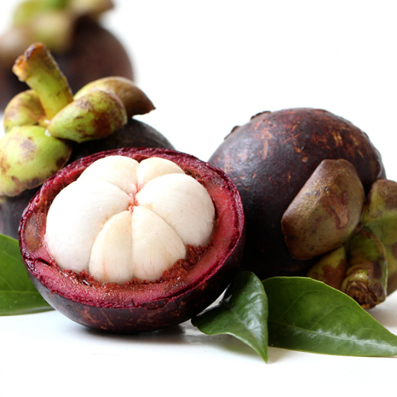 Shunfeng Thailand mangosteen fresh fruit 0.50 kg-2.50 kg tropical seasonal wholesale price a box of 3-6A factory wholesale generation