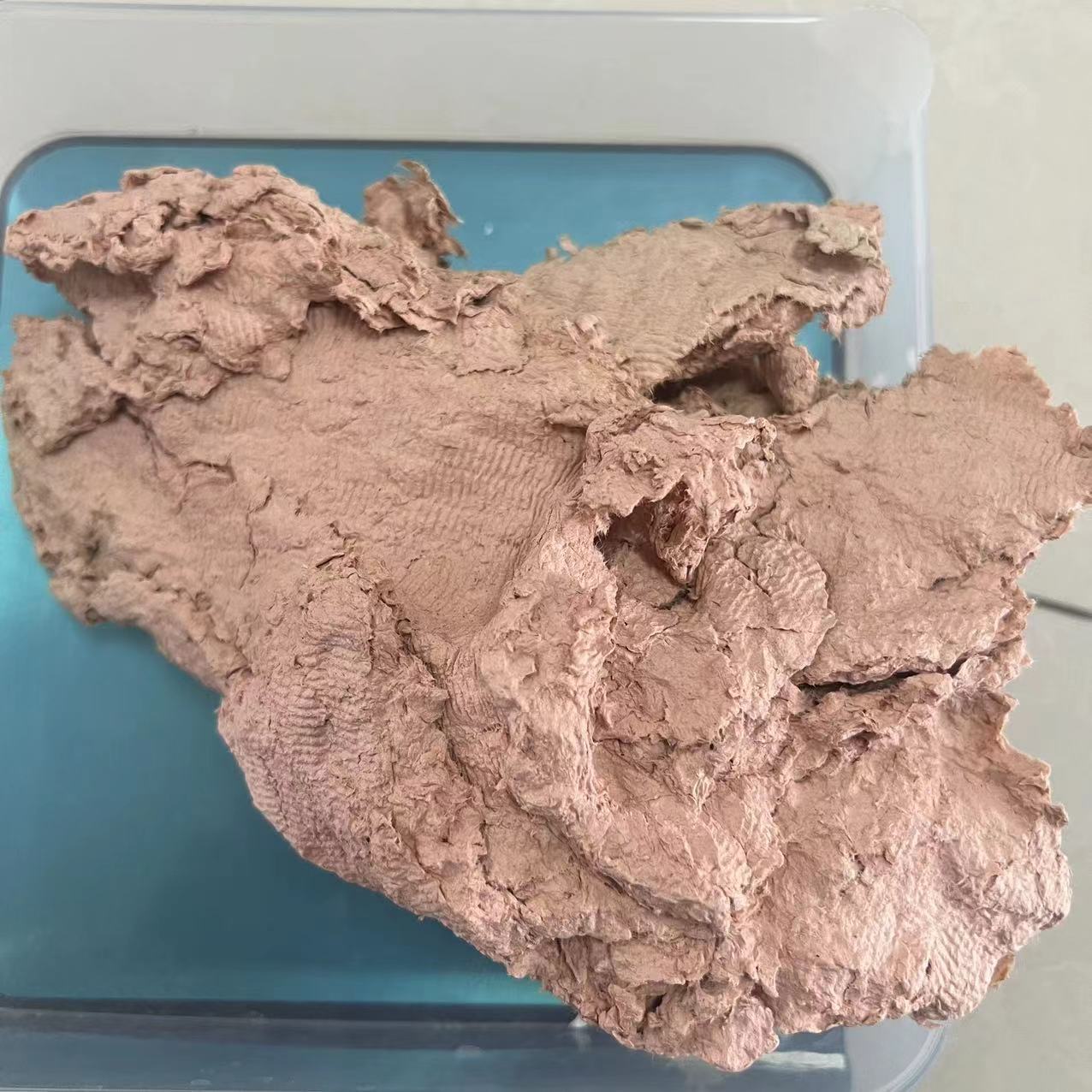 Manufacturer Processed Coated Pulp Natural Color Pulp Yellow Red Green Yellow White Pulp Recycled Original