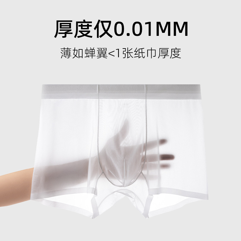 Summer Ice Silk Men's Underwear Lightweight Men's Mask Pants Breathable Transparent Mid-Waist Boys Breathable Manufacturer Wholesale
