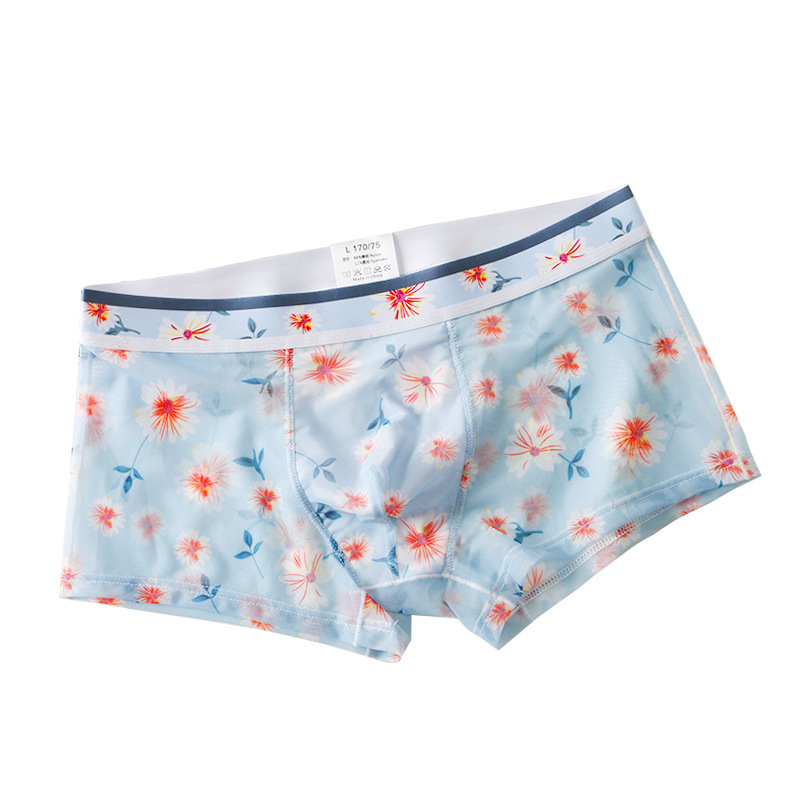 Summer thin men's underwear mesh transparent boxer sexy breathable printed boxer shorts head waist wholesale