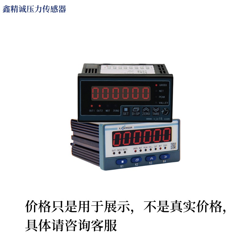 Xinjingcheng Force Measurement Load Cell Amplifier Xjc-Cf3600-F Control Instrument Pressure Signal Amplifier