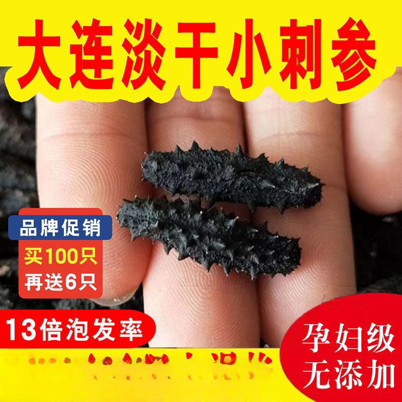 [Чисто легкие сушеные маленькие морские огурцы] Сухие товары морского огурца из Даляня, дикий морской огурец, маленький сушеный морской огурец, Ляочэн, не готовый к употреблению