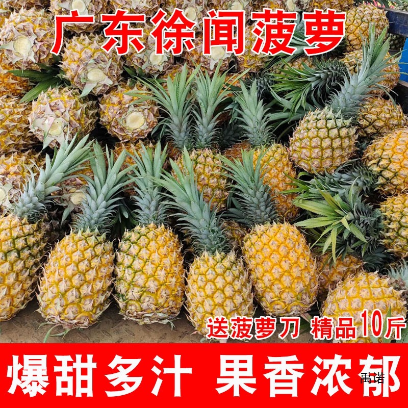 Хит Продаж Ананас Гуандун Сюйвэнь Фрукт 5кг Упаковка Сезонный Ароматный Ананас Свежий Ананас Чжаньцзян Хрустящий Маленький Ананас