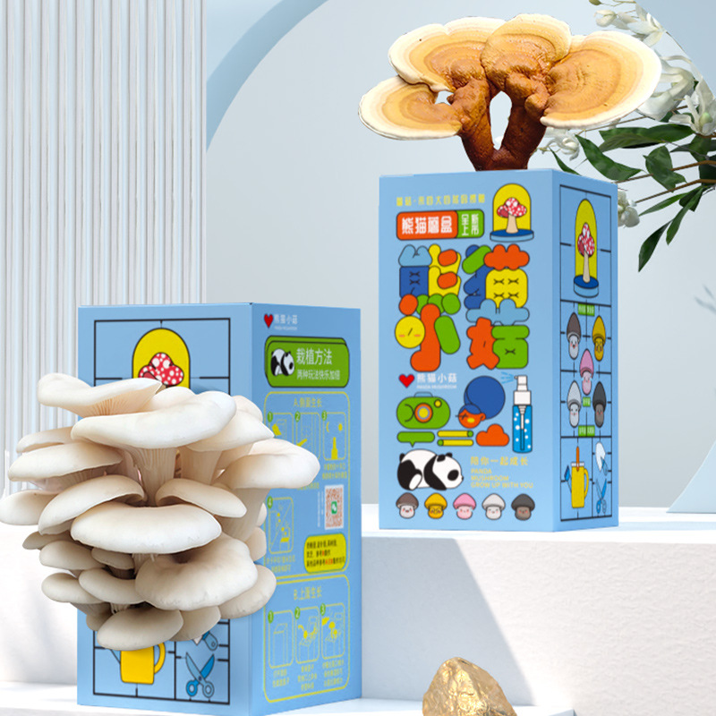 Mushroom Box Gift Box Pleurotus ostreatus Planting Bag Edible Fungi Doll Green Plant Kindergarten Breeding Boxed Bag Gift