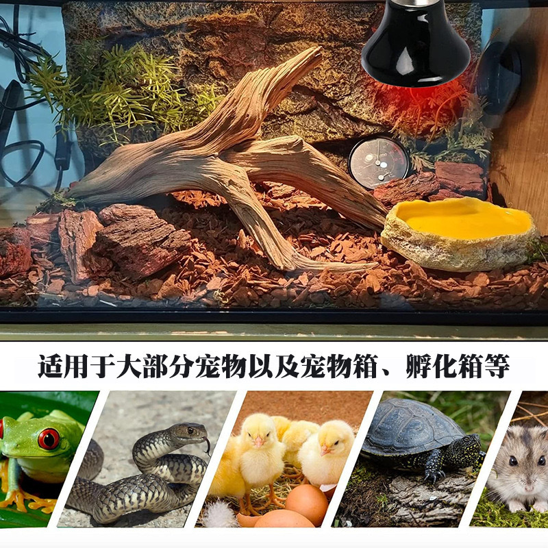 Factory direct reptile pet far infrared ceramic mini heat preservation lamp 25W50w75w100w110V