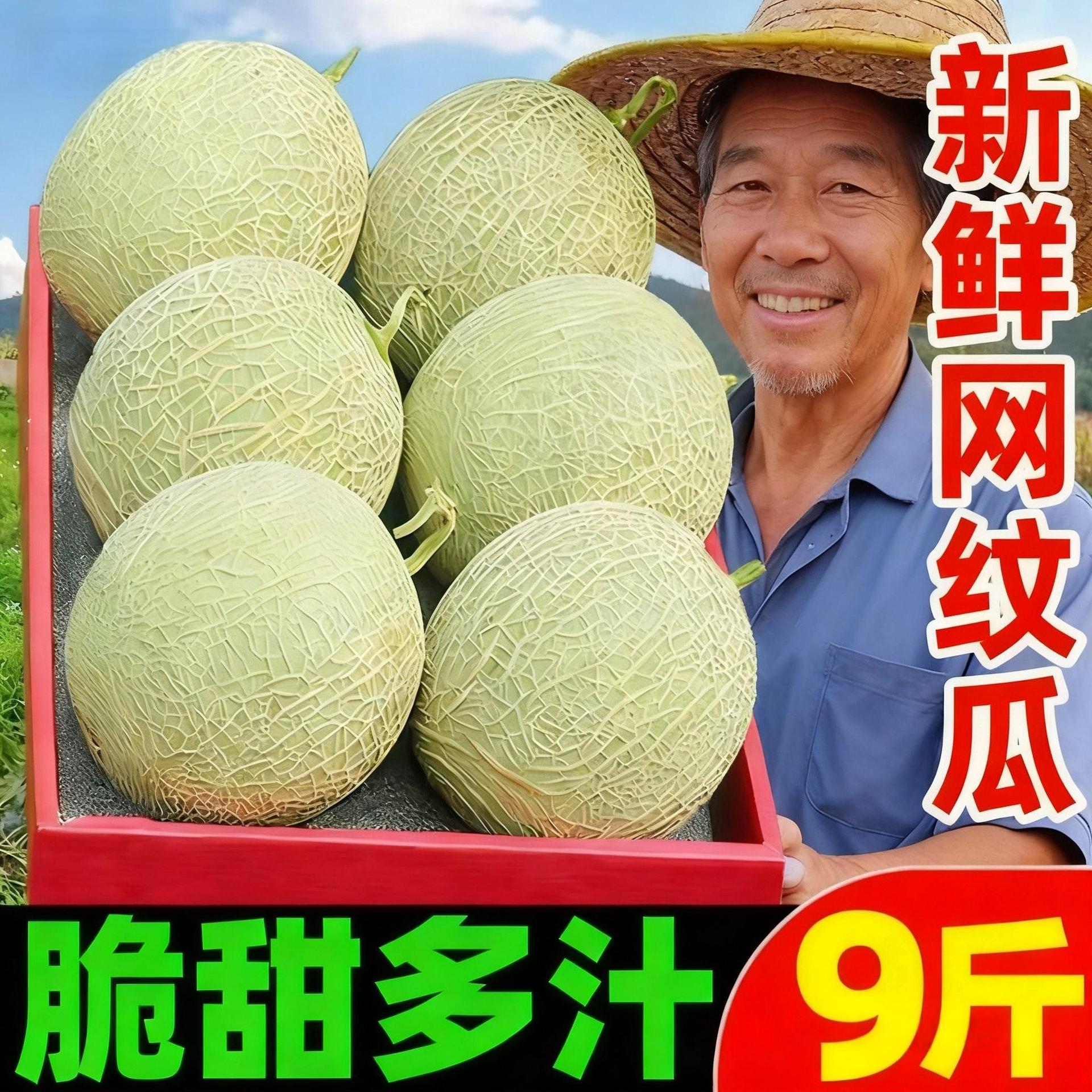Целая коробка дынь медовых с сетчатым узором Мэйлонг, круглой формы канталупа, свежий сезонный фрукт, изысканное мороженое, сладкая дыня