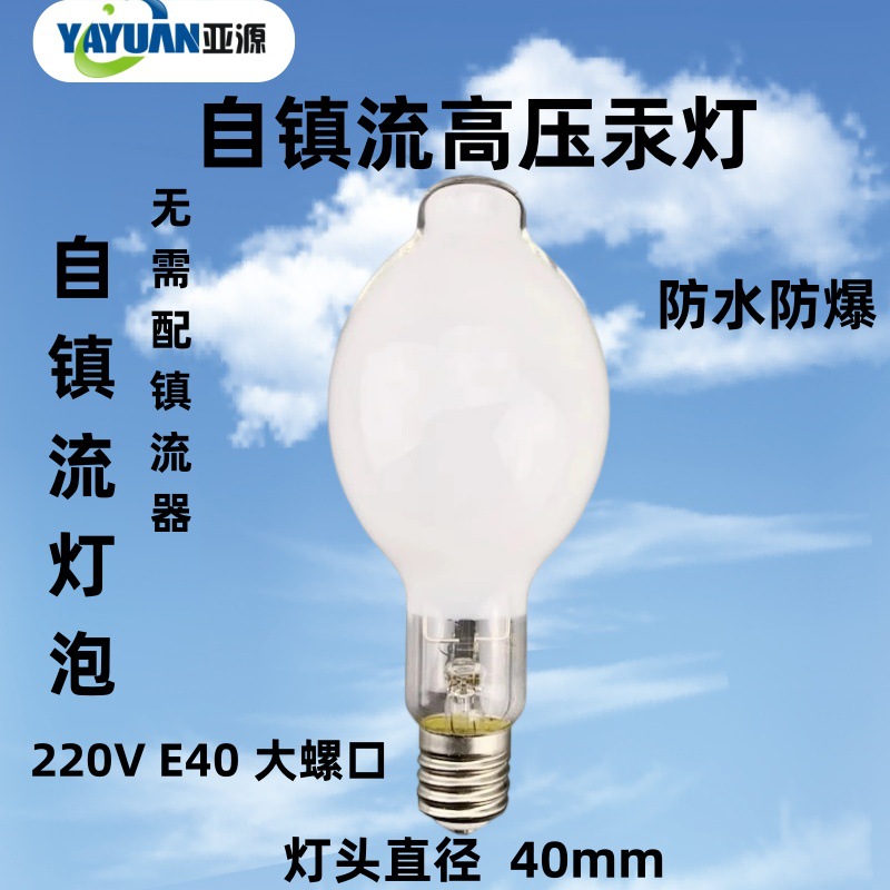 Marine Self-Ballast Mercury Lamp Mercury Vapor Lamp Mercury Lamp Bhf110V/220V500W300Wimpa High Voltage