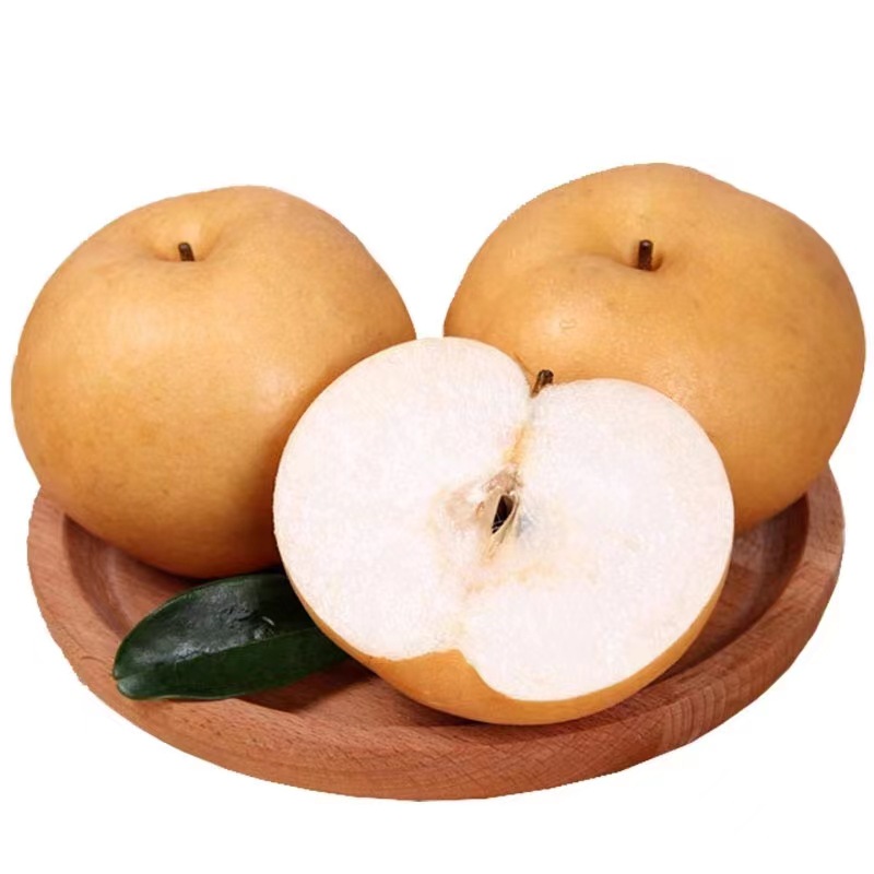 Shandong Laiyang Qiuyue Pear Gift Box 5/ 5kg Fresh Fruit Whole Box Rock Sugar Fengshui Pear Mid-Autumn Festival Gift Box