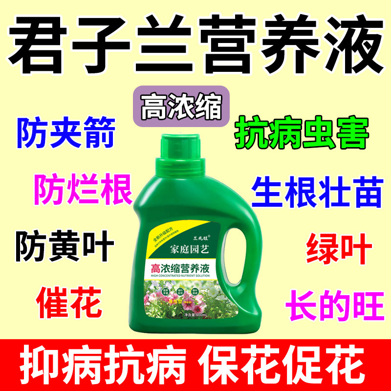 Clivia Nutrient Solution Special Fertilizer Flowering Fertilizer Flower Plant General Concentrated Liquid Flowering Fertilizer for Flower and Green Plants