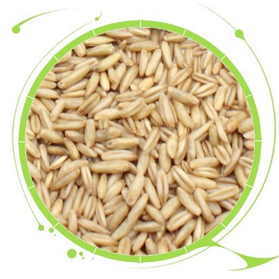 Low Temperature Baked Oatmeal Rice Whole Grains