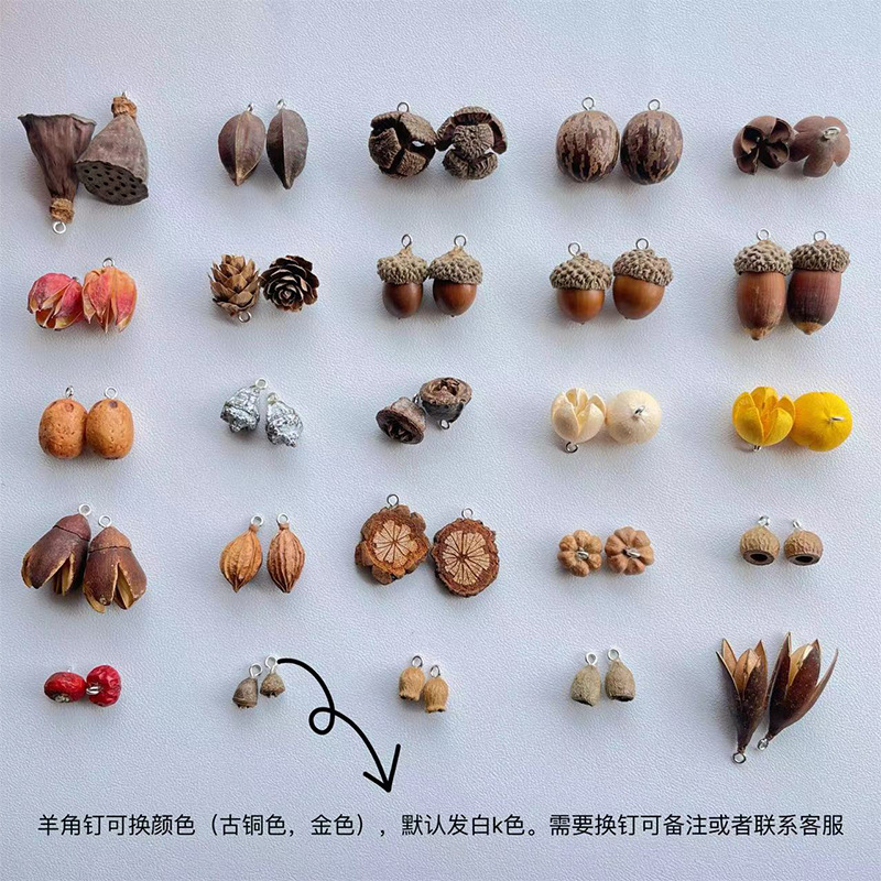 Handmade diy Fruit with Horn Nails, Natural Acorn Lotus Pod, Open Smile Plant Fruit, Creative Earrings, Bracelet Fruit