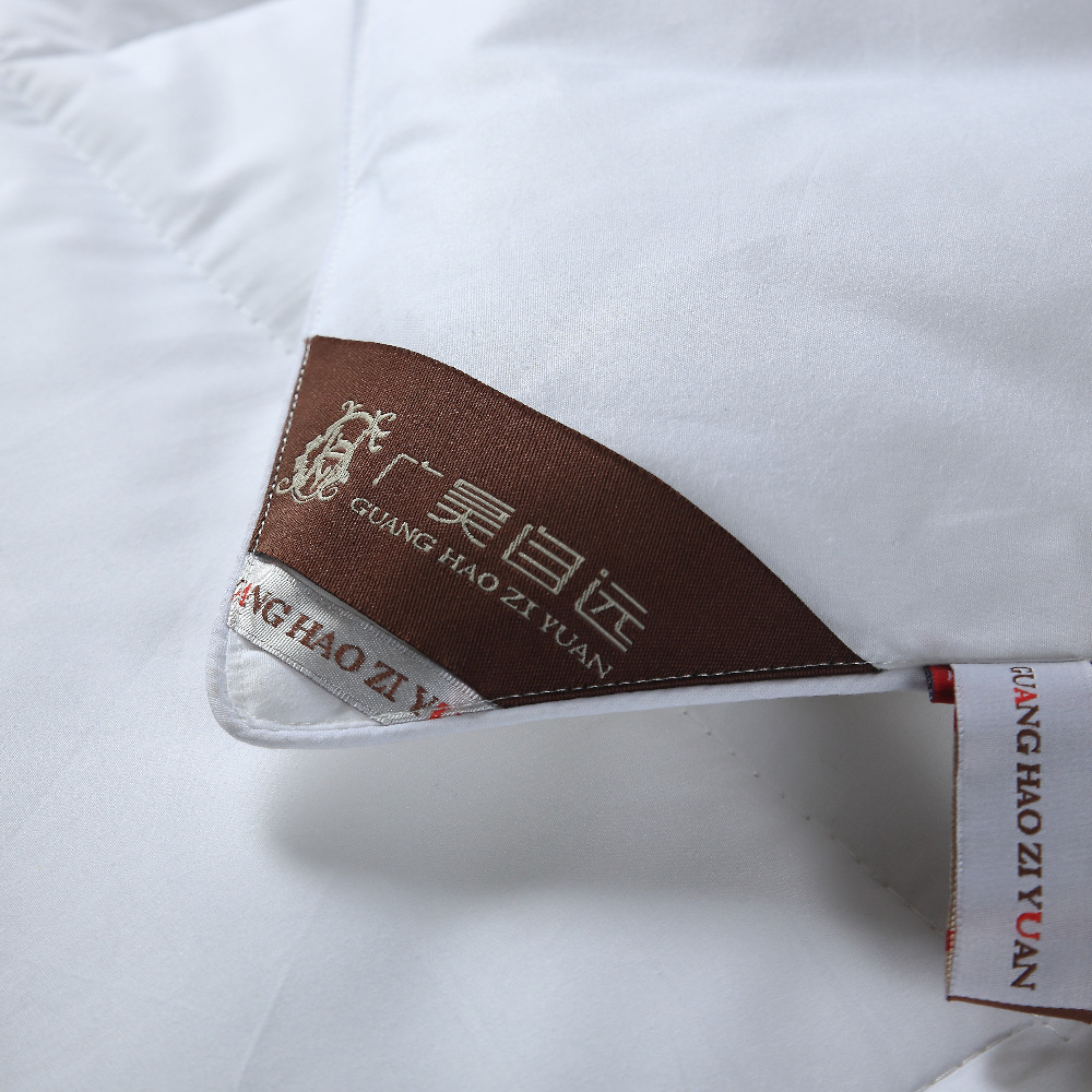 Five-star hotel homestay quilt core cotton anti-feather cloth feather velvet quilt thickened feather velvet four seasons single double quilt