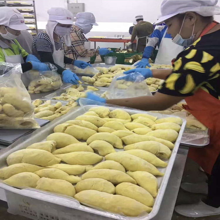 Thai Golden Pillow Durian Frozen Durian Pulp Frozen Golden Pillow Seedless Golden Pillow Durian Pulp